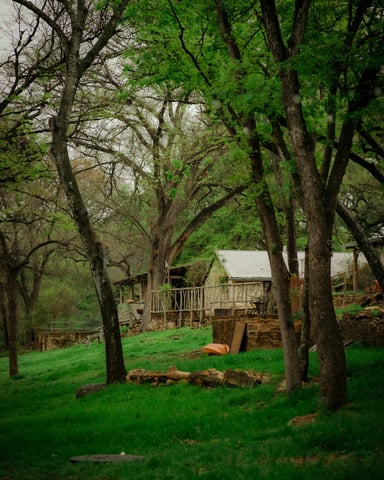 Hill Country cabin among trees in Wimberley Texas