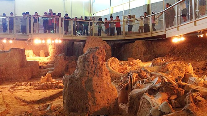 Waco Mammoth National Monument