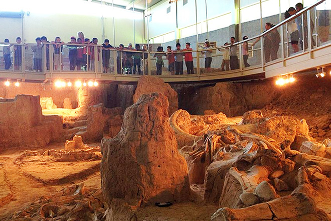 Waco Mammoth National Monument